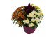 Arrangementen tuinplanten Abbracci Donna 