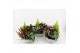 Perkplanten mix Hello Autumn in witte schaal 21 cm Falls 4 pp 