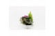 Perkplanten mix Hello Autumn in witte schaal 21 cm Falls 4 pp 
