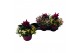 Arrangementen tuinplanten Abbracci mix Donna & Nova 
