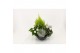 Perkplanten mix Hello Autumn in antraciet schaal 27 cm Falls 4 pp 