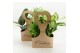 Kamerplanten mix Tas 2 Ecotas met 2 planten 