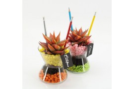 Arrangementen kamerplanten SSCR-2501 School Creations 1 pp