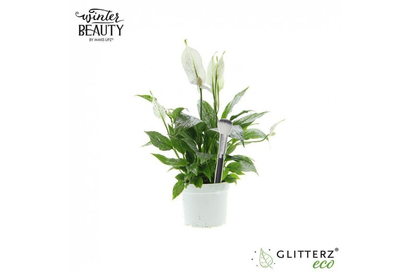 Spathiphyllum bellini 6+ bloem - MakeUpz Zilver glitter 
