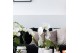 Phalaenopsis elegant cascade 1 tak niagara fall white kolibri orchids 