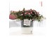 Rhododendron simsii rose vogel roze Azalea P&PURE Collection Illusion  