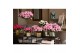 Rhododendron simsii mix Azalea Flandresse® Let Love Bloom 25 cm diamet 