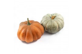 Cucurbita pepo Diverse sierpompoenen 2 (1047)