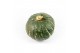 Cucurbita Sweet Mama 6 (1012) 