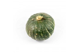 Cucurbita Sweet Mama 6 (1012)