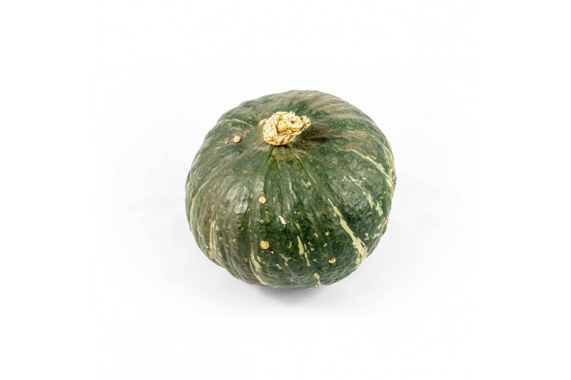 Cucurbita Sweet Mama 6 (1012) 