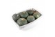 Cucurbita Sweet Mama 6 (1012) 
