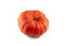 Cucurbita Rode van Etampes 1 (1037)