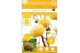 Edgeworthia chrysantha grandiflora honey sunshine 