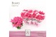 Euphorbia pul. princettia dark pink 5+ Bloem, DolcAmore® 