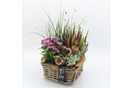 Arrangementen tuinplanten AHCR-2504 Allerheiligen 4 pp