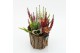 Arrangementen tuinplanten AHCR-2501 Allerheiligen 1 pp 