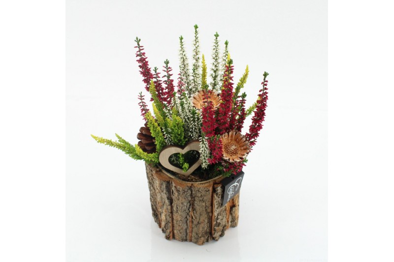 Arrangementen tuinplanten AHCR-2501 Allerheiligen 1 pp Arrangementen tuinplanten AHCR-2501 Allerheiligen 1 pp
