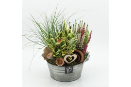 Arrangementen tuinplanten AHCR-2511 Allerheiligen 3 pp