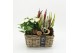 Arrangementen tuinplanten AHCR-2503 Allerheiligen 2 pp 