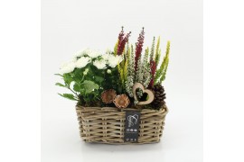 Arrangementen tuinplanten AHCR-2503 Allerheiligen 2 pp