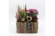 Arrangementen tuinplanten AHCR-2502 Allerheiligen 2 pp 