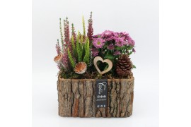 Arrangementen tuinplanten AHCR-2502 Allerheiligen 2 pp
