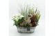Arrangementen tuinplanten AHCR-2512 Allerheiligen 4 pp 