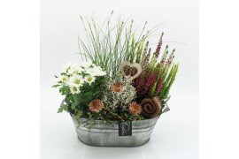 Arrangementen tuinplanten AHCR-2512 Allerheiligen 4 pp