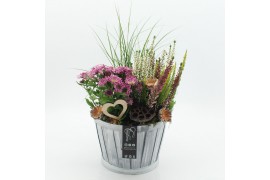 Arrangementen tuinplanten AHCR-2510 Allerheiligen 3 pp