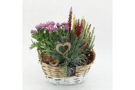 Arrangementen tuinplanten AHCR-2506 Allerheiligen 3 pp