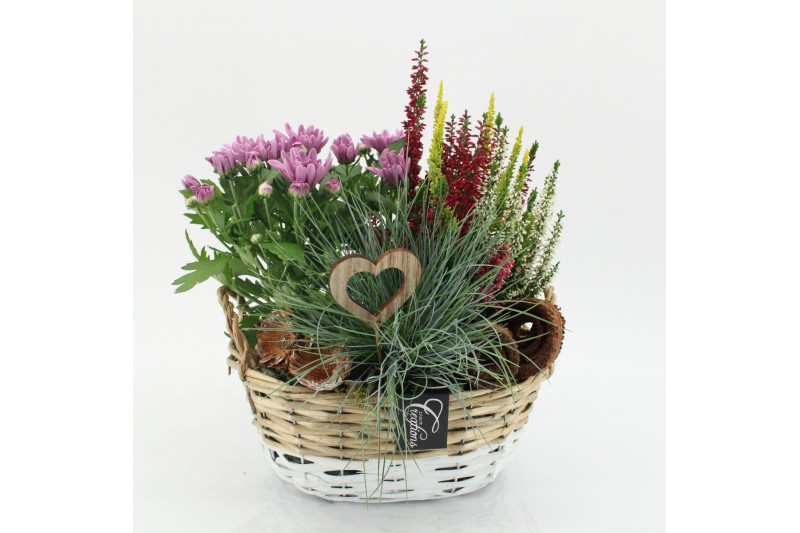 Arrangementen tuinplanten AHCR-2506 Allerheiligen 3 pp Arrangementen tuinplanten AHCR-2506 Allerheiligen 3 pp