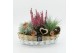 Arrangementen tuinplanten AHCR-2505 Allerheiligen 3 pp 