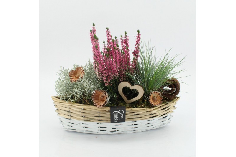 Arrangementen tuinplanten AHCR-2505 Allerheiligen 3 pp Arrangementen tuinplanten AHCR-2505 Allerheiligen 3 pp