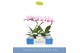 Phalaenopsis roze 1 tak in wit lazio 