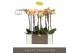 Phalaenopsis geel Optistar - Parton - 2 tak - Molise White Aquo 
