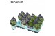 Crassula mix Crassula Mix (4spc.) (decorum) 1 pp 