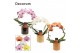 Phalaenopsis mix Boog - 2 tak, 14+ bloem - Lois keramiek 
