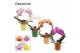 Phalaenopsis mix Boog - 2 tak, 14+ bloem - Naemi - Natural Bubble 