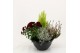 Perkplanten mix Hello Autumn in antraciet schaal 27 cm Leaf 4 pp 