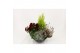Perkplanten mix Hello Autumn in antraciet schaal 27 cm Leaf 4 pp 