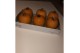 Cucurbita maxima halloween 6 (1056) 