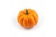 Cucurbita Orange Boo 12 (1016) 