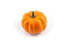 Cucurbita Orange Boo 12 (1016)