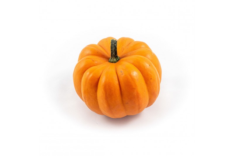 Cucurbita Orange Boo 12 (1016) 