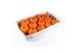 Cucurbita Orange Boo 12 (1016) 