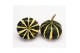 Cucurbita Flatt Striped 30 (1062) 