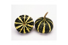 Cucurbita Flatt Striped 30 (1062)