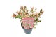 Hydrangea serrata euphoria pink 