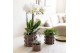 Keramische pot Kolibri Home Cotton pot sand mix 